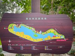 -华侨城湿地公园