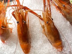 -HOMES上海本帮菜(襄阳公园店)