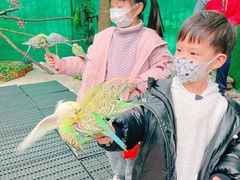 -史努比缤纷世界