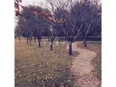 -宿迁学院