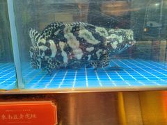 -ONE FULL 古董港式海鲜火锅