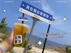 -海岛日记(养马岛店)
