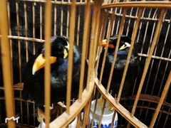 -到家尝北京菜(西坝河店)