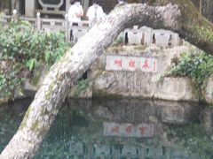 -蝴蝶泉公园