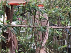 -二荆条·蜀鲜汇城市森林火锅