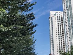 -外滩8号 whisky bar(金延大厦店)