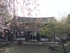 -西安青龙寺遗址景区
