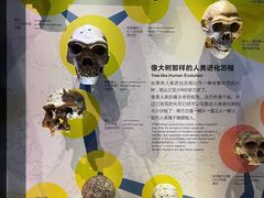-正佳自然科学博物馆