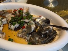 -陶缘一号·四季缘·老字号顺德菜·户外婚礼家宴(西滘店)
