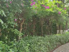 -重庆市江北嘴中央商务区中央公园