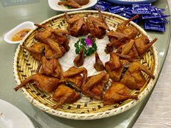 顺风招牌乳鸽-顺风山庄(水濂山店)