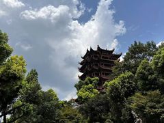 -黄鹤楼公园(黄鹤楼)