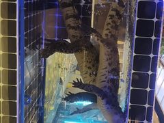 -川骄海鲜自助(河东店)