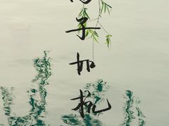 -西湖游船