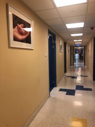 -杭州贝瑞斯美华妇儿医院·早孕·产检·儿科