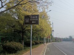 -白水寺森林公园