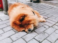 -逸桂禾面馆