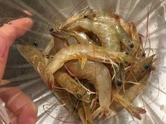 -星伦多自助料理(华润万象城店)