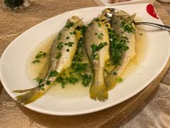 东海小黄鱼-虹迎轩·中餐厅(虹桥迎宾馆店)