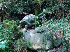 -韩湘水博园