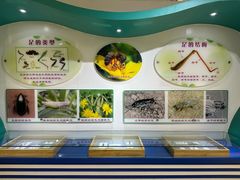 -上海昆虫博物馆