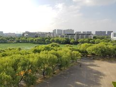 -东华大学(松江校区)