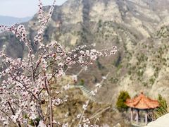 -圣莲山风景区