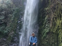-莫里热带雨林景区