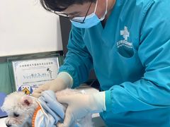 -欧奕国际动物医院