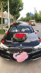 -蚂蚁婚车