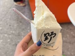 -野人先生现做冰淇淋(北京王府井东方新天地店)