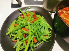 清炒四季豆-本来精品川菜(嘉里中心店)