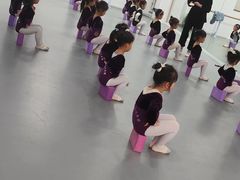 -西安小天鹅艺术团(金花路校区)