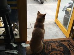 -About Bistro關於·泰式家庭料理