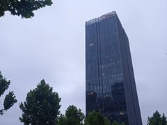 -交通银行前滩31演艺中心