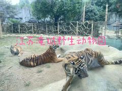 -常州淹城野生动物世界