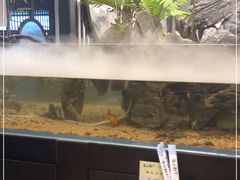 -舟小鲜·舟山小渔村(凤城四路中登广场店)