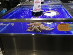 -盒马鲜生(新都心店)
