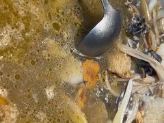 -滇铺子·云南特色菜·第九届野生菌美食节(东风东路c86店)