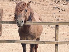 -秦皇岛野生动物园