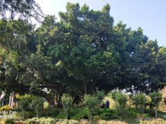 -人民公园(罗湖区)