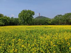 -北坞公园