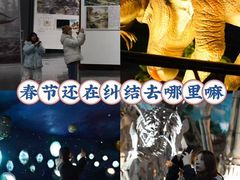 -中国西峡恐龙遗迹园