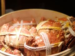 -君来湖滨饭店·玫瑰园