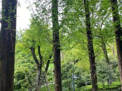 -杭州雅谷泉山庄酒店-餐厅