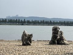 -东湖落雁景区