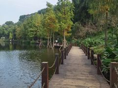 -重庆彩云湖湿地公园