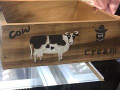 -野人先生现做冰淇淋(西安赛格店)