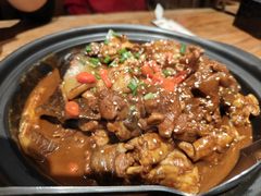 甲鱼牛蛙锅-洪湘记川湘·甲鱼馆(四海凯悦美食广场店)