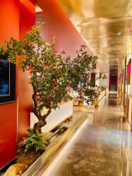 -俏江南户外宴会花园·梓塘婚礼堂(马场道店)